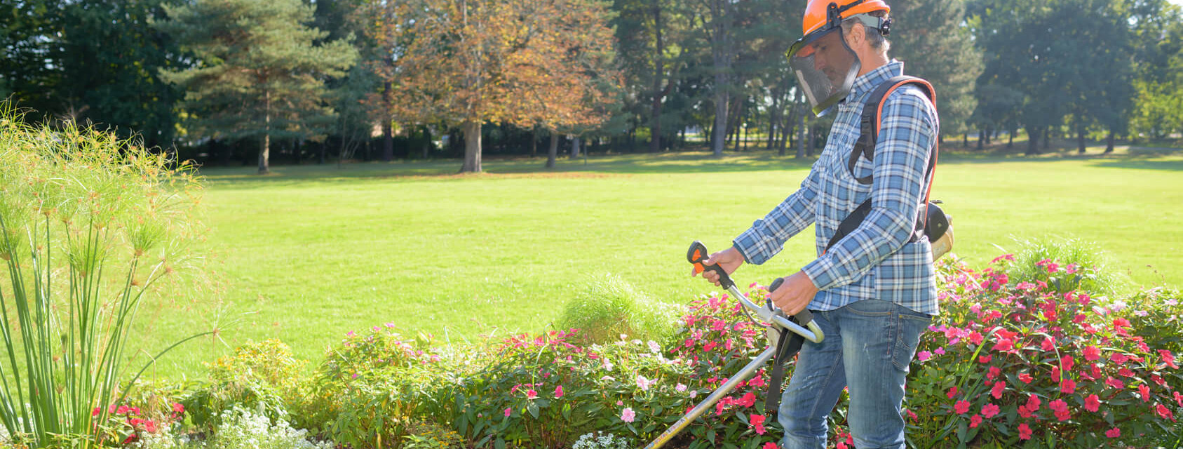 Header für Helfer - Gartenbau (m/w/d)